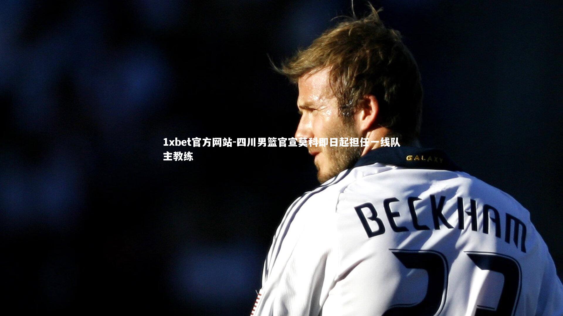 四川男篮官宣莫科即日起担任一线队主教练